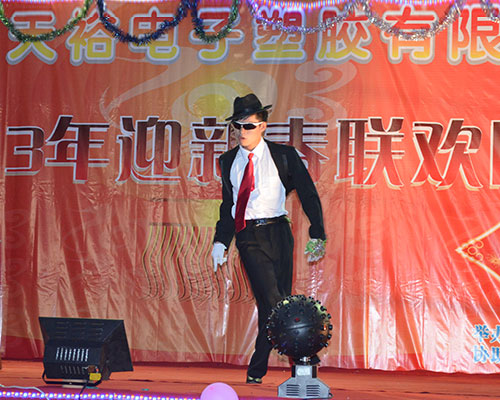 2013年春節晚會舞蹈表演2.JPG