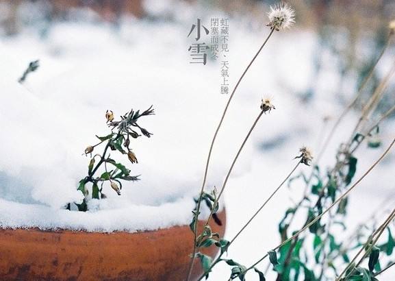 今天是小雪，將正式步入冬天嚴(yán)寒階段。