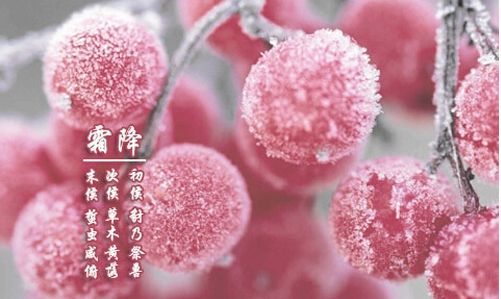 霜降已到，冬天還會遠嗎？